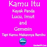 Kambar Kata Kamu Mirip Panda