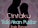 gambar dp cinta takan pudar