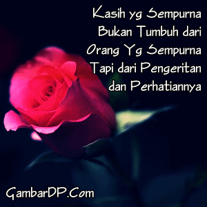 gambar dp bbm kasih sempurna