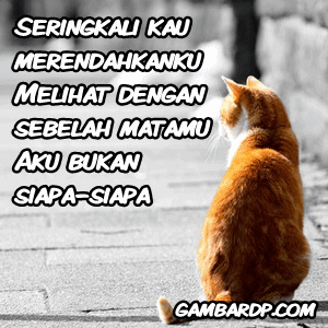 gambar dp bbm merendahkan aku